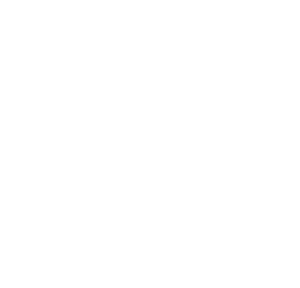 BRM Ribs